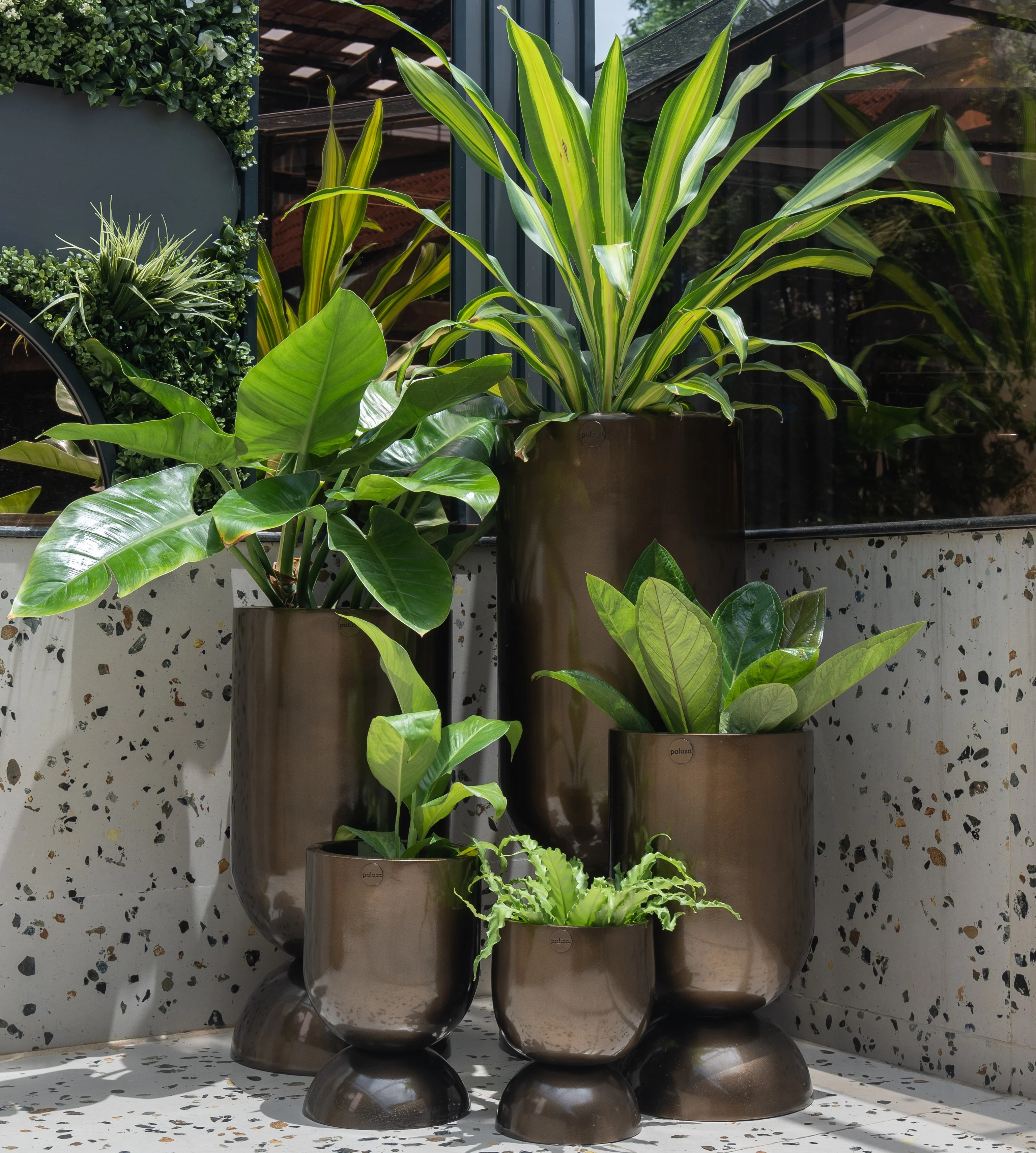10 Best Indoor Plants for Beginners